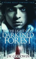 By The Light Of A Darkened Forest