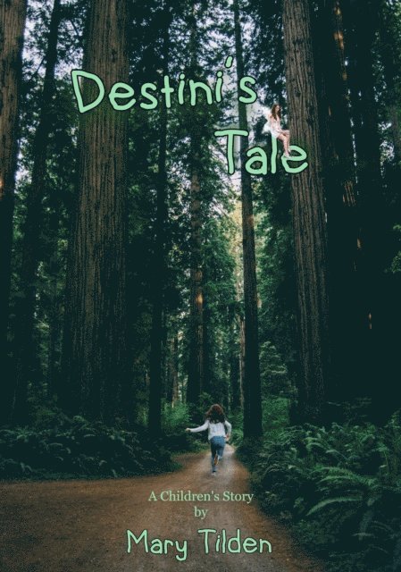 Mary Tilden - Destini's Tale, E-bok