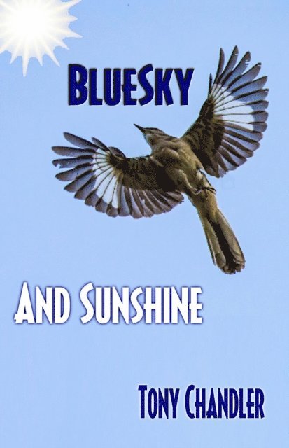 Tony Chandler - Bluesky and Sunshine (Song of Life - Book 1), E-bok. Tillgänglighet: Lägg i varukorg