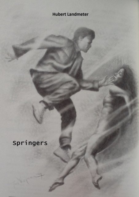 Hubert Landmeter - Springers, E-bok