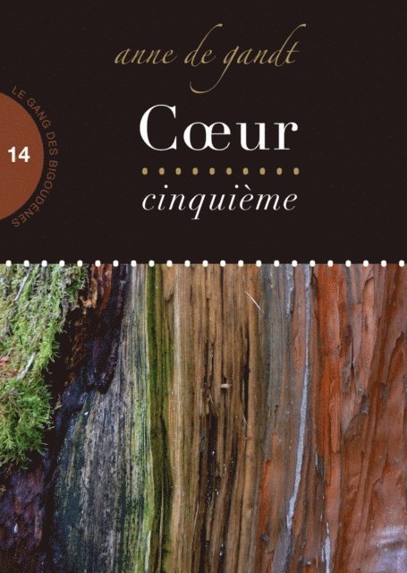 Anne de Gandt - CA ur cinquieme (Saison 14), E-bok