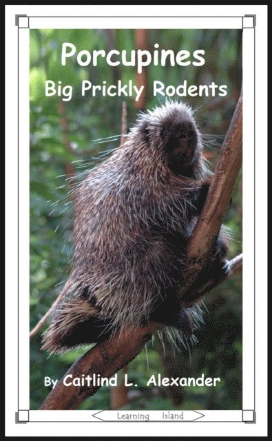 Caitlind L. Alexander - Porcupines: Big Prickly Rodents, E-bok. Tillgänglighet: Lägg i varukorg