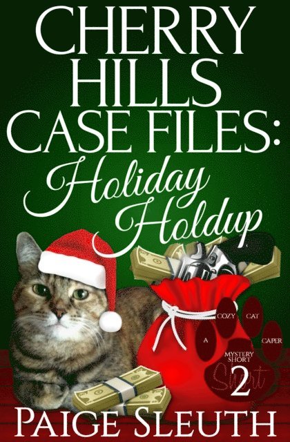 Paige Sleuth - Cherry Hills Case Files: Holiday Holdup: A Humorous Christmas Whodunit Special, E-bok