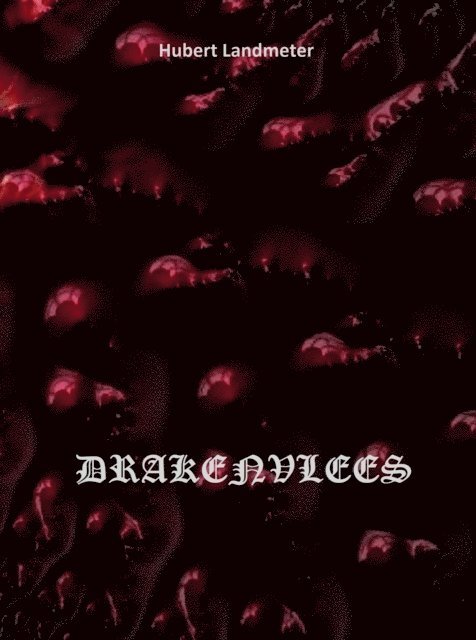 Hubert Landmeter - Drakenvlees, E-bok