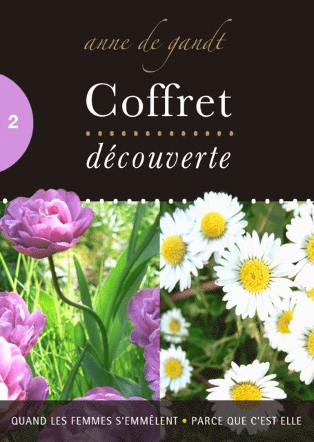 Anne de Gandt - Coffret decouverte n(deg)2, E-bok