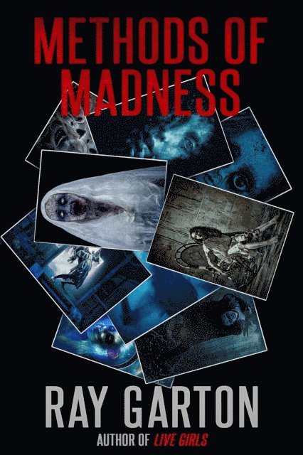 Ray Garton - Methods of Madness, E-bok