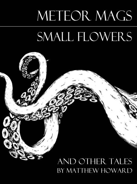Matthew Howard - Meteor Mags: Small Flowers and Other Tales, E-bok