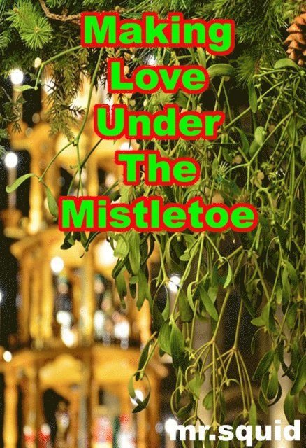 Mr.Squid - Making Love Under The Mistletoe, E-bok