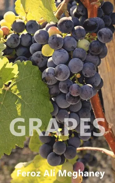 Feroz Ali Meghaney - Grapes, E-bok. Tillgänglighet: Lägg i varukorg