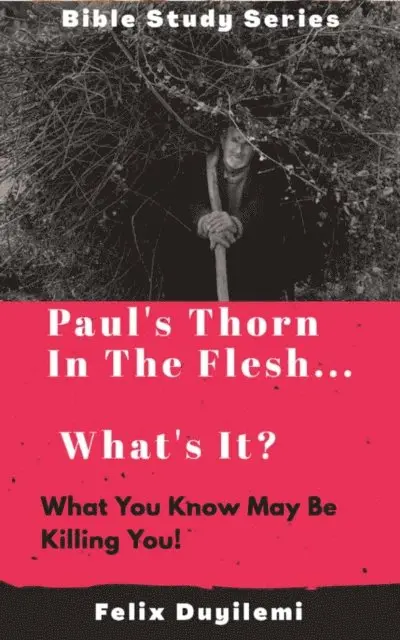 Felix Duyilemi - Paul's Thorn in the Flesh: What's It?, E-bok. Tillgänglighet: Lägg i varukorg