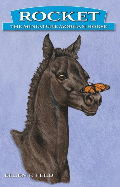 Ellen F. Feld - Rocket: The Miniature Morgan Horse, Book 1, E-bok