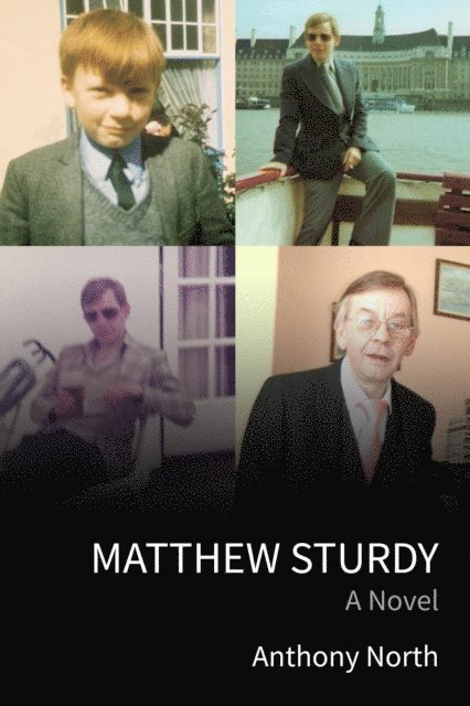 Anthony North - Matthew Sturdy: A Novel, E-bok