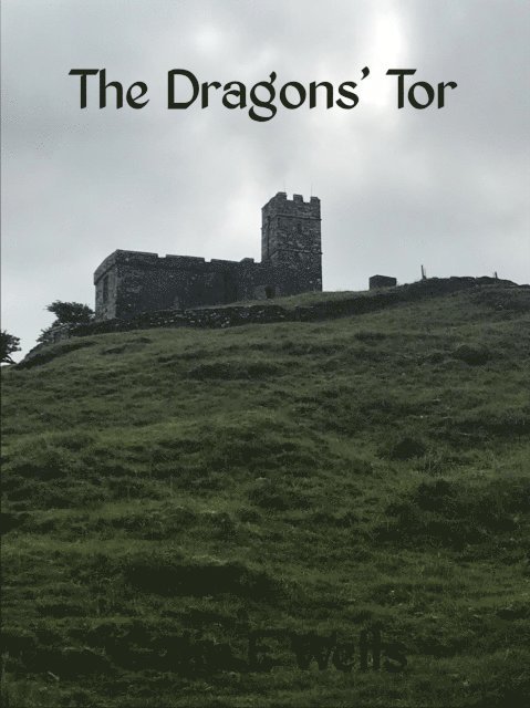 Colin Wells - Dragons' Tor, E-bok