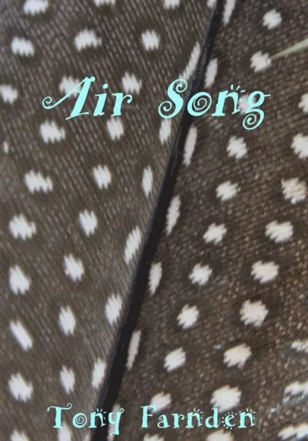 Tony Farnden - Air Song, E-bok. Tillgänglighet: Lägg i varukorg
