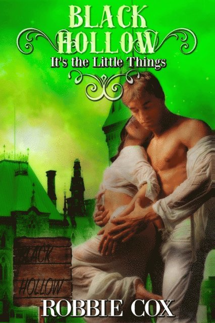 Robbie Cox - Black Hollow: It's the Little Things, E-bok