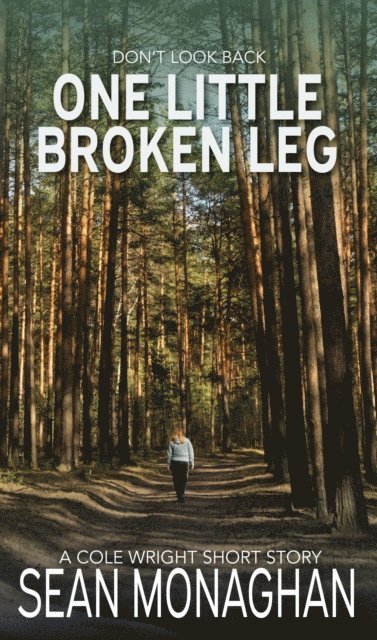 Sean Monaghan - One Little Broken Leg, E-bok