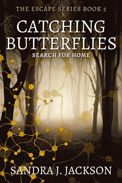 Sandra J. Jackson - Catching Butterflies, E-bok