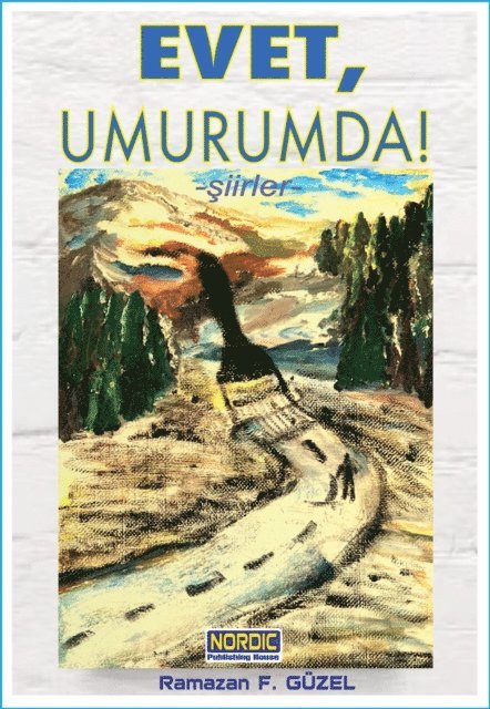 Ramazan F. Guzel - Evet, Umurumda, E-bok