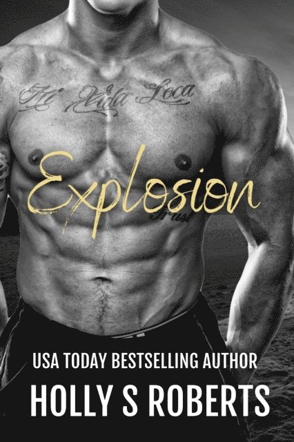 Holly S. Roberts - Explosion, E-bok
