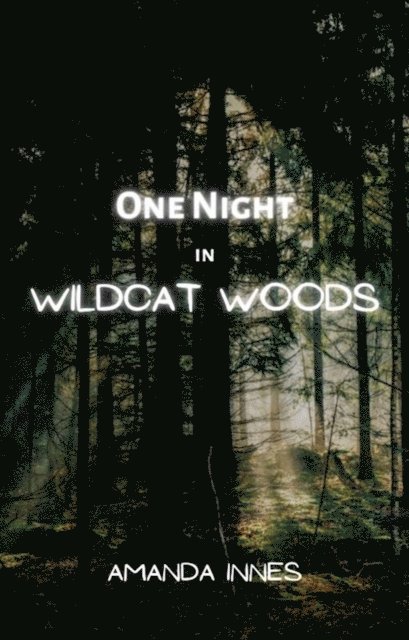 Amanda Innes - One Night In Wildcat Woods, E-bok