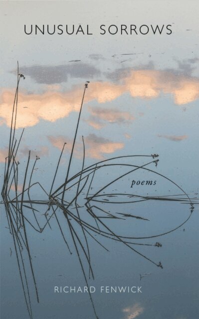 Richard Fenwick - Unusual Sorrows, E-bok