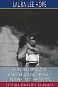 Bunny Brown And His Sister Sue In The Bi