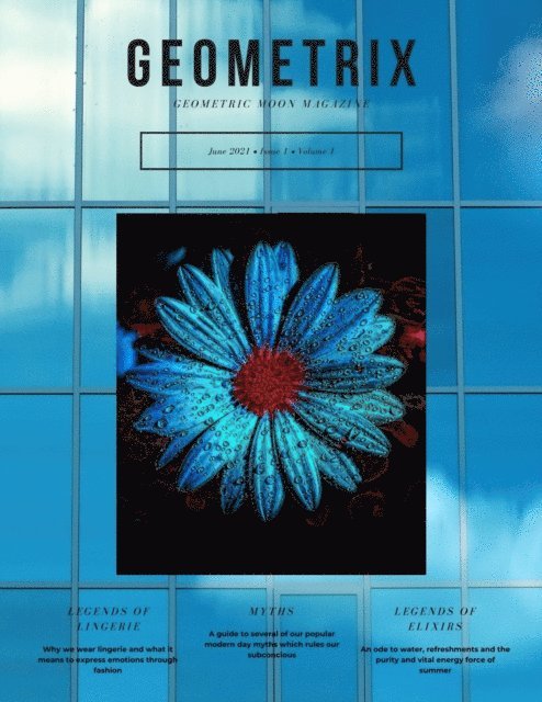 Deanna Stinson, Ana Moon - Geometric Moon Magazine, E-bok