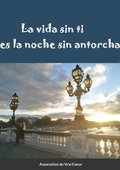 vida sin ti es la noche sin antorcha
