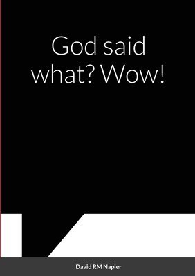 David Napier - God said what? Wow!, Häftad