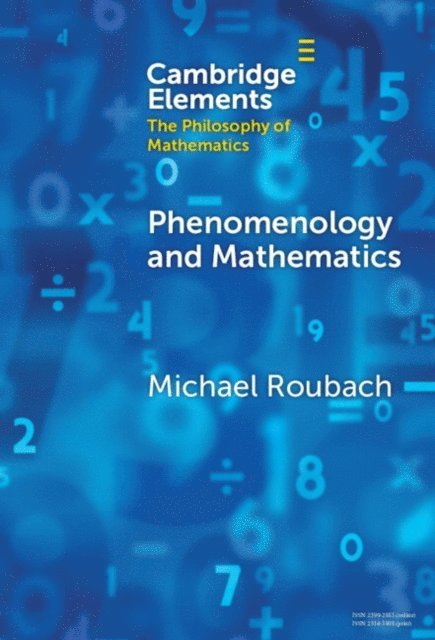 Michael Roubach - Phenomenology and Mathematics, E-bok