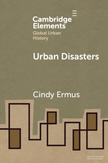 Cindy Ermus - Urban Disasters, E-bok