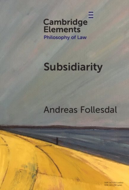 Andreas Follesdal - Subsidiarity, E-bok