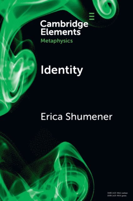 Erica Shumener - Identity, E-bok