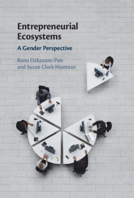 Susan Clark Muntean, Banu Ozkazanc-Pan - Entrepreneurial Ecosystems, E-bok