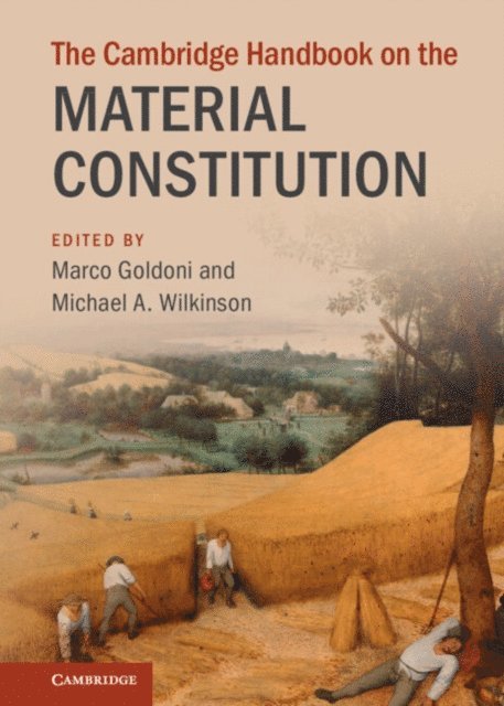Michael A. Wilkinson, Marco Goldoni - Cambridge Handbook on the Material Constitution, E-bok