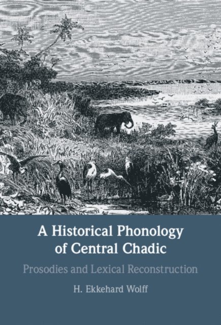 H. Ekkehard Wolff - Historical Phonology of Central Chadic, E-bok