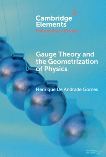 Henrique De Andrade Gomes - Gauge Theory and the Geometrization of Physics, E-bok