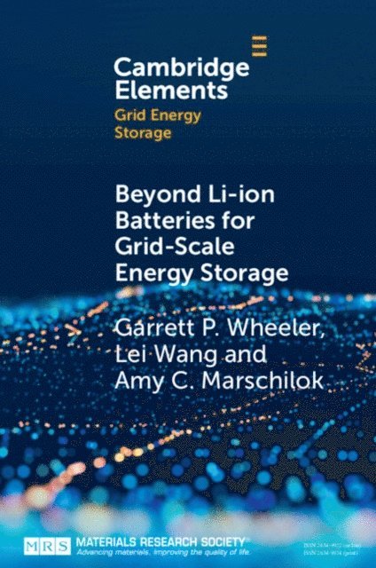 Amy C. Marschilok, Lei Wang, Garrett P. Wheeler - Beyond Li-ion Batteries for Grid-Scale Energy Storage, E-bok