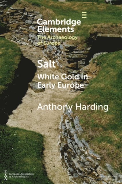 Anthony Harding - Salt, E-bok