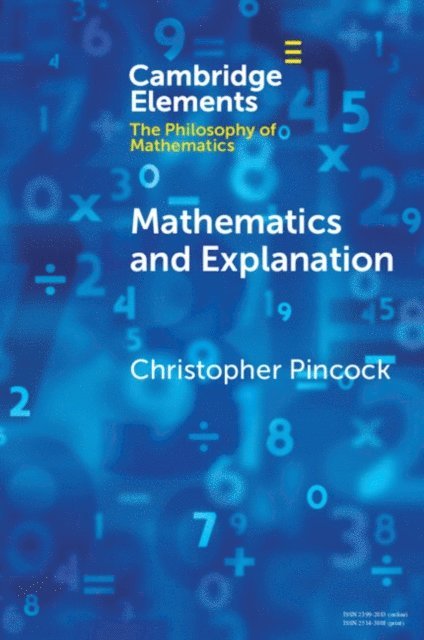 Christopher Pincock - Mathematics and Explanation, E-bok