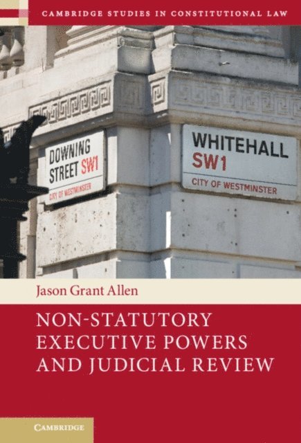 Jason Grant Allen - Non-Statutory Executive Powers and Judicial Review, E-bok