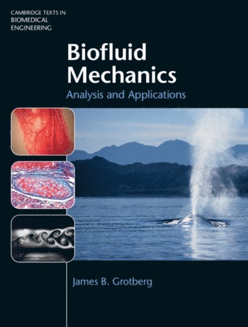 James B. Grotberg - Biofluid Mechanics, E-bok