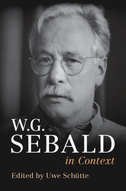 Uwe Schutte - W. G. Sebald in Context, E-bok