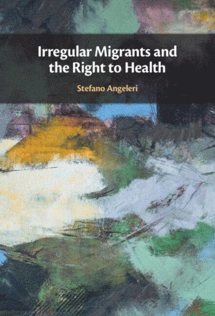 Stefano Angeleri - Irregular Migrants and the Right to Health, E-bok