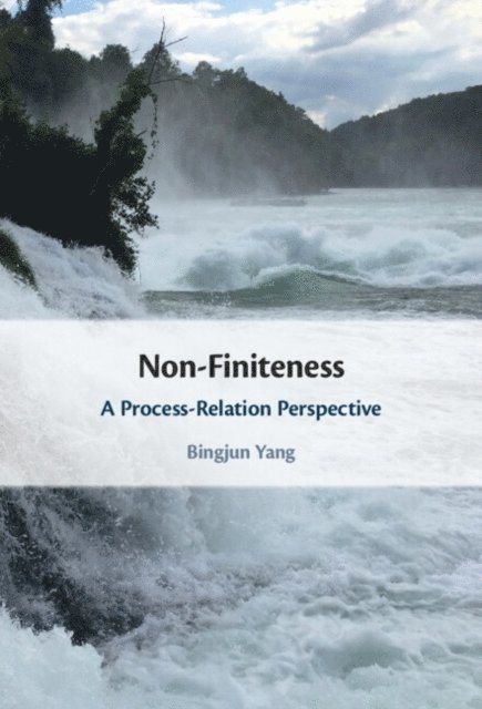 Bingjun Yang - Non-Finiteness, E-bok