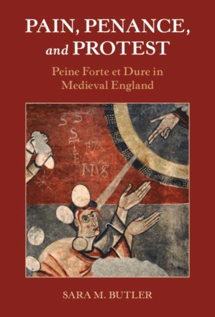 Sara M. Butler - Pain, Penance, and Protest, E-bok