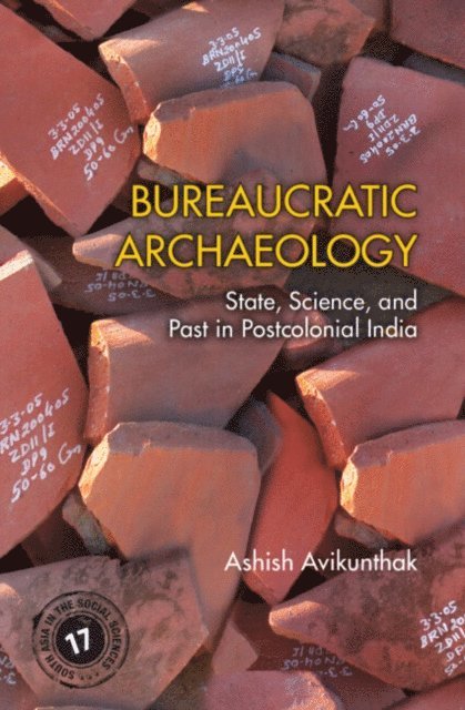 Ashish Avikunthak - Bureaucratic Archaeology, E-bok