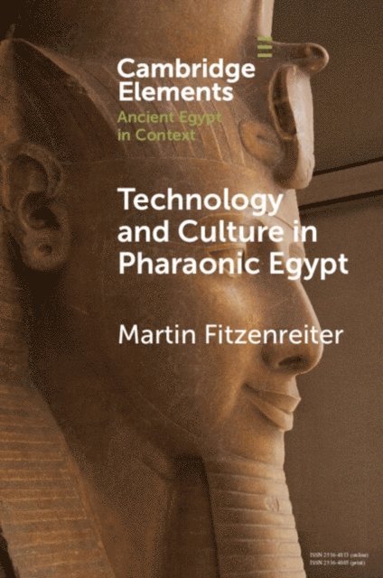 Martin Fitzenreiter - Technology and Culture in Pharaonic Egypt, E-bok