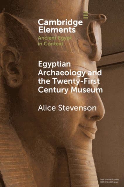 Alice Stevenson - Egyptian Archaeology and the Twenty-First Century Museum, E-bok