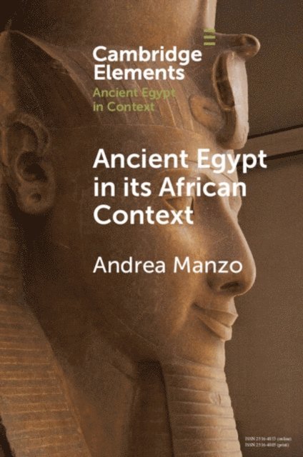 Andrea Manzo - Ancient Egypt in its African Context, E-bok